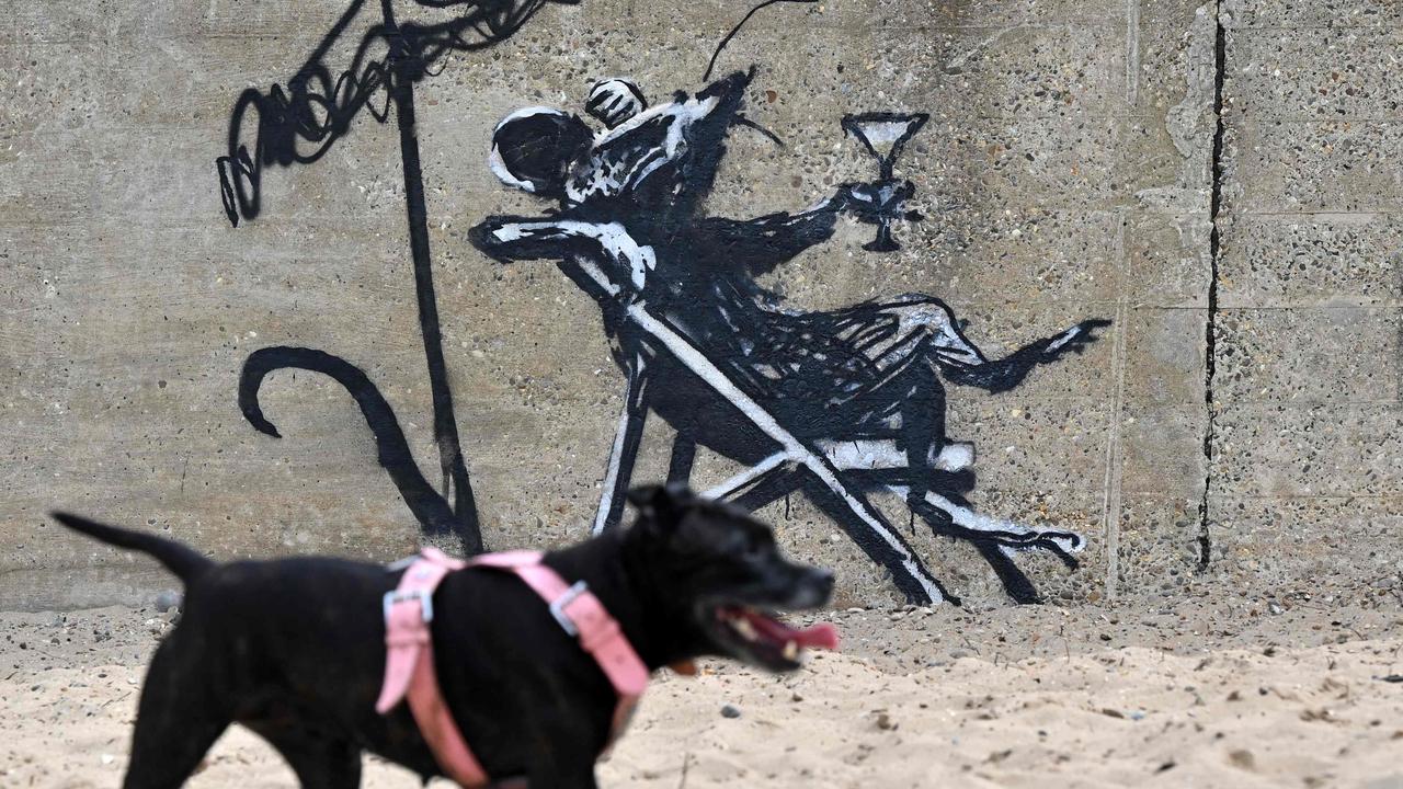 A dog passes a graffiti artwork of a rat drinking a cocktail, which bears the hallmarks of Banksy, on a wall at North Beach in Lowestoft on the east coast of England. Picture: Justin Tallis/AFP