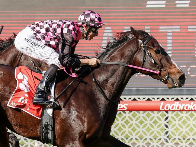 Rothfire ridden by Damian Lane wins the Mitty's McEwen Stakes at Moonee Valley Racecourse on September 03, 2022 in Moonee Ponds, Australia. (Photo by George Sal/Racing Photos via Getty Images)