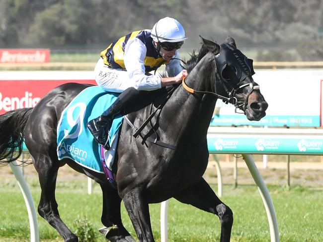 Sea King (GB) ridden by Declan Bates wins the Apiam Bendigo Cup at Bendigo Racecourse on October 30, 2024 in Bendigo, Australia. (Photo by Brett Holburt/Racing Photos via Getty Images)