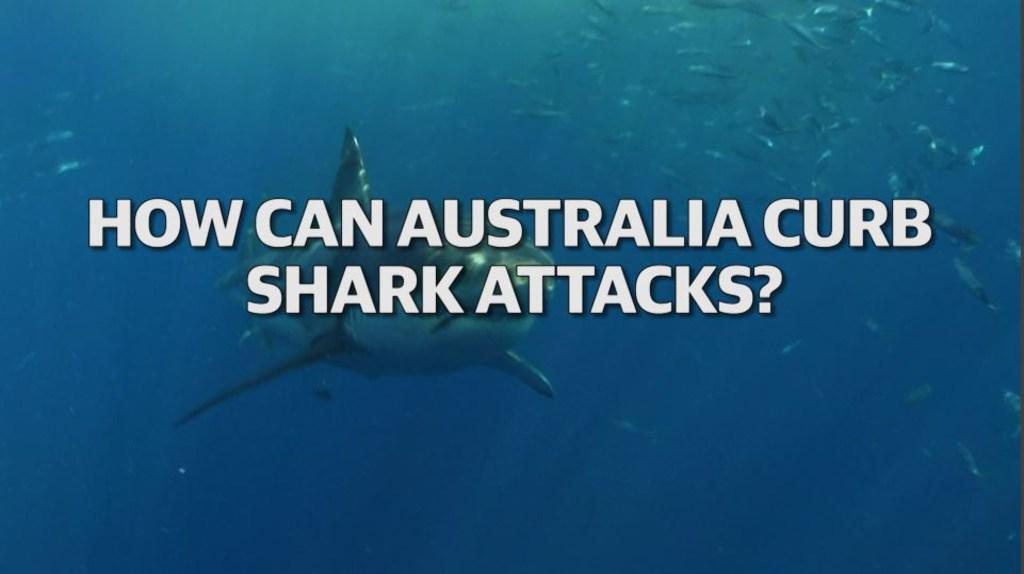 How can Australia curb shark attacks?