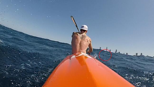 Ironman Caine Eckstein's close encounter with a shark