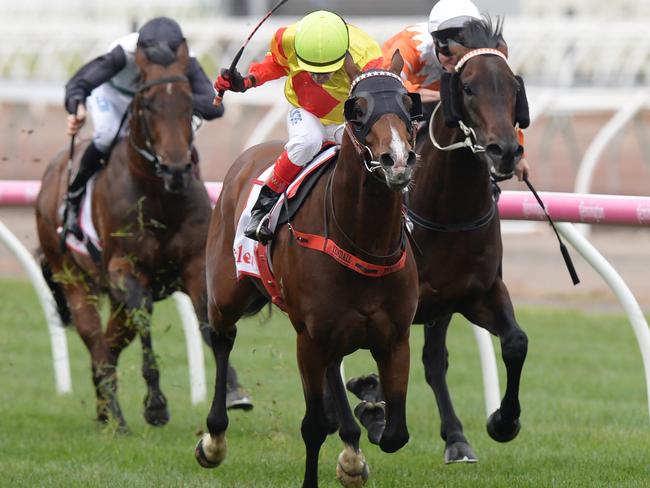 Snitzepeg (centre) ran home well for third over 1400m at Caulfield last start.