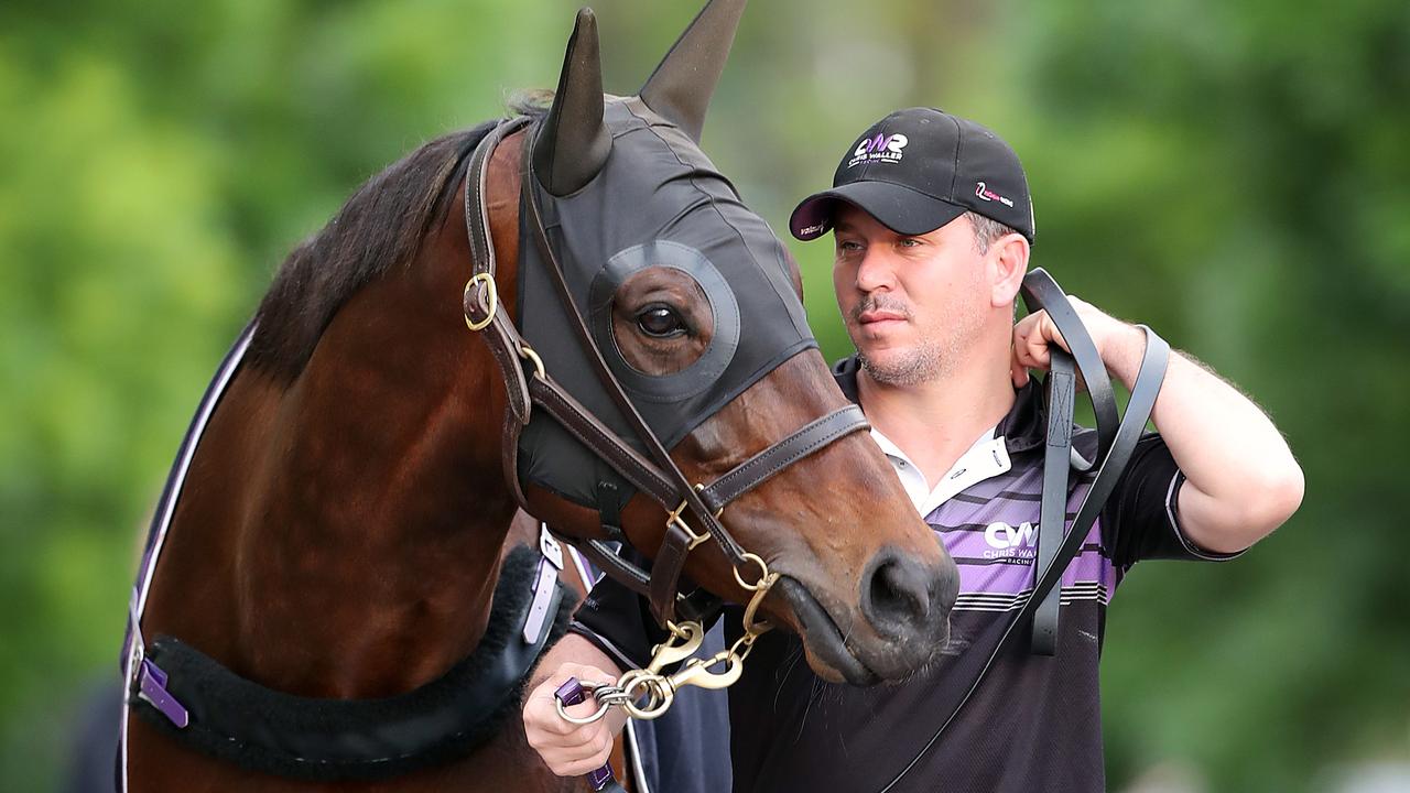 Cox Plate 2018: Winx attitude puts Hugh Bowman at ease | Herald Sun