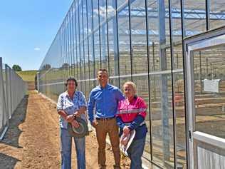 CANNABIS FACILITY: Lismore City Council Deputy Mayor Darlene Cook, Operations Manger of CannaPacific Tim Ritchie and Lismore City Council General Manager Shelley Oldham.