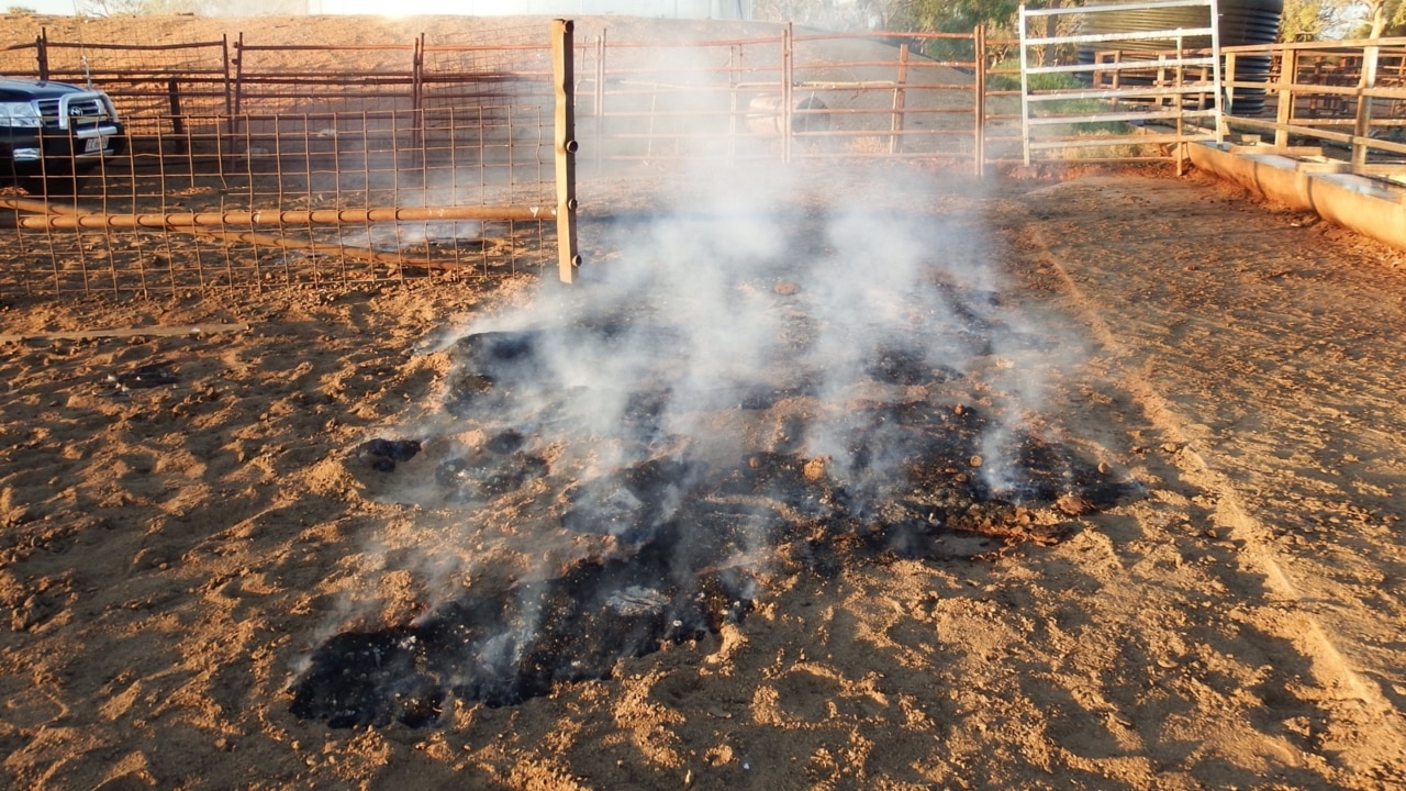 Owners left confused after spontaneous combustion at cattle station