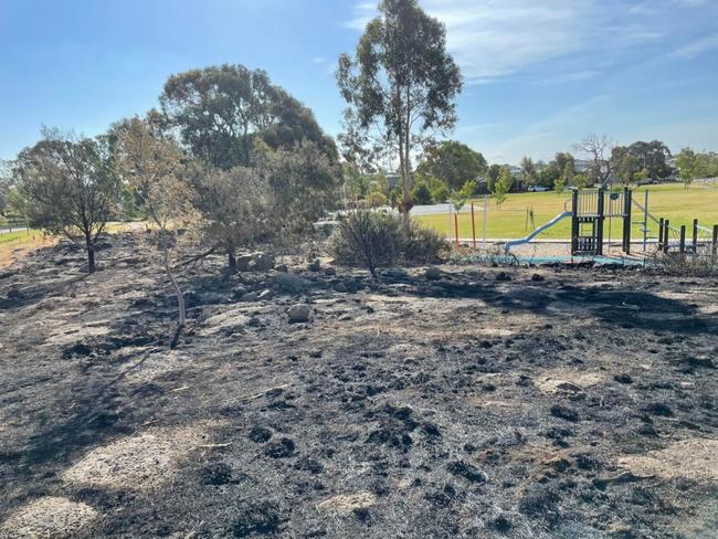 Suspicious fire at popular park