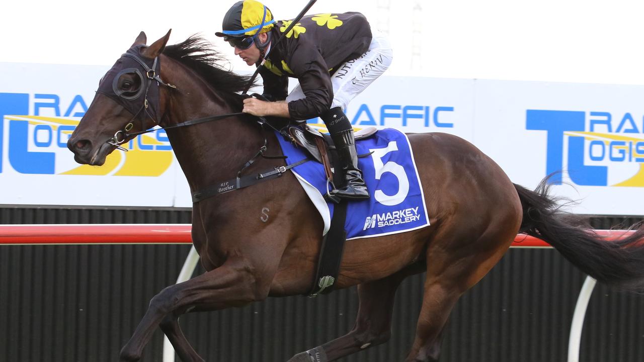 John Sargent's Australian Derby hopeful Favreau. Photo: Grant Guy