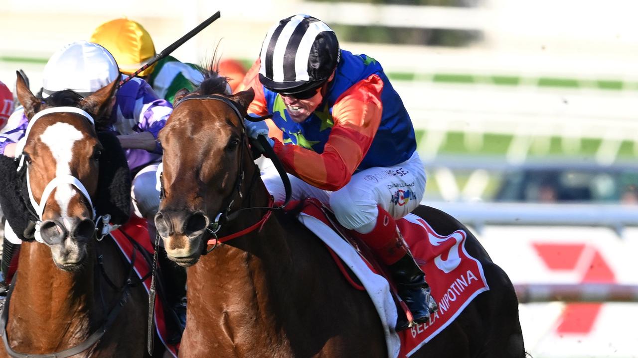 Craig Williams gets busy on Bella Nipotina. Picture: Grant Peters / Trackside Photography