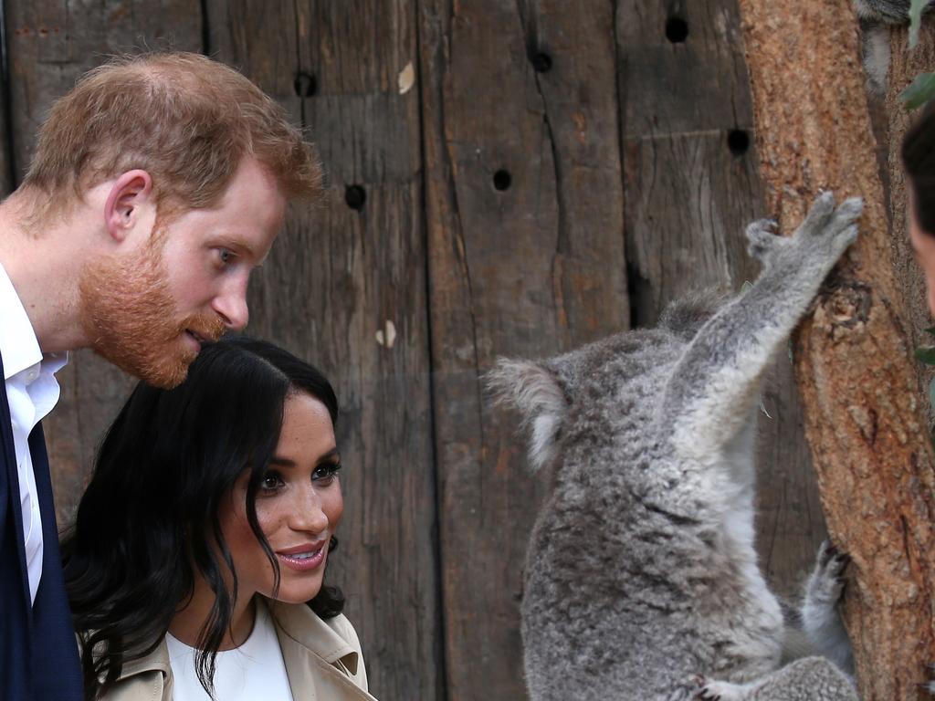 The Duke and Duchess of Sussex, Prince Harry and Meghan Markle visit Taronga Zoo during their visit to Sydney. Picture: Toby Zerna