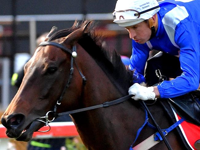 Breakfast with the best at Moonee Valley. Hugh Bowman on Winx at the Valley.  Picture: Jay Town