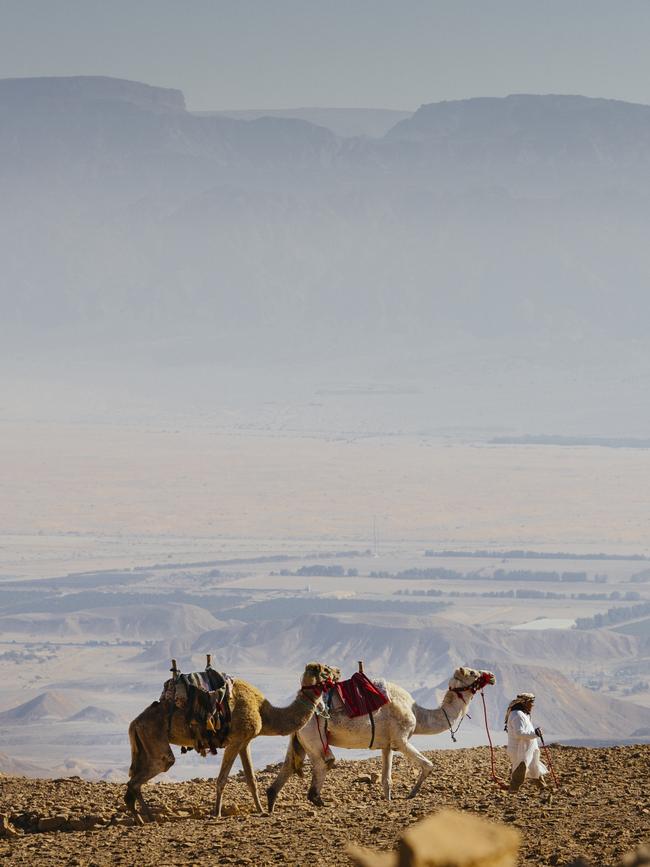 The Negev Desert, Israel.