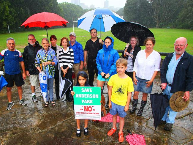 Residents campaigned against synthetic turf in Anderson Park. Picture: Phillip Rogers