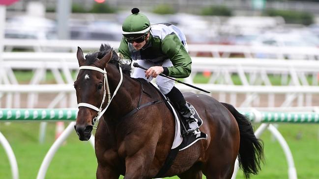 Incentivise thrashed his rivals in the Tattersall’s Cup by 12 lengths at Eagle Farm in June. Picture: Trackside Photography