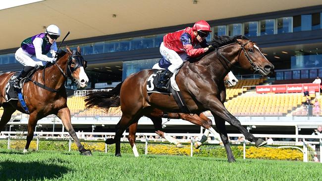 Brereton provides the magic moment when winning at Doomben to take Tony Gollan past his own record for the most city winners in a season. Picture: Grant Peters/Trackside Photography