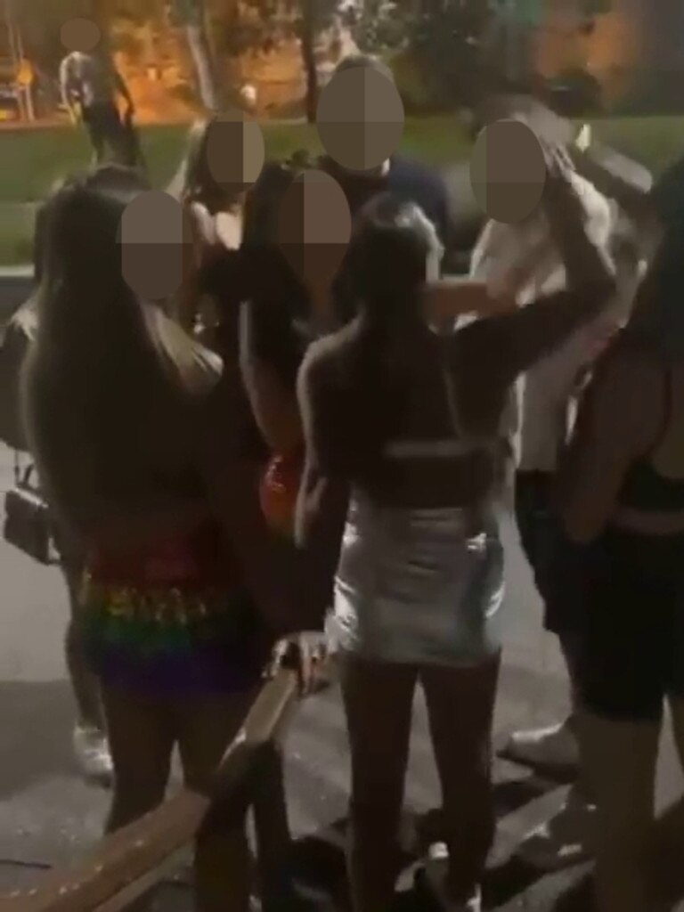 Teenage Girls Allegedly Assaulted In Sydney Park Brawl Daily Telegraph