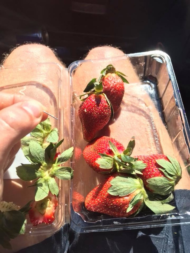 The punnet of contaminated strawberries from the Facebook page of Joshua Gane.