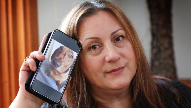 Sofie Giuiri’s beloved sausage dog Oskar died after a vet botched a simple medical procedure. Picture: David Caird