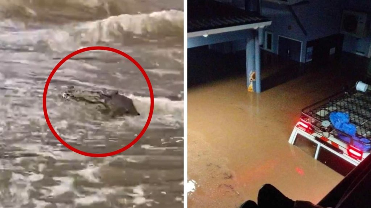 The entire town of Wujal Wujal (right, taken from local stranded on a roof overnight) will be evacuated as floods worsen. Crocodiles have been spotted in floodwaters along the coast, including one in a flooded drain in Ingham (left)