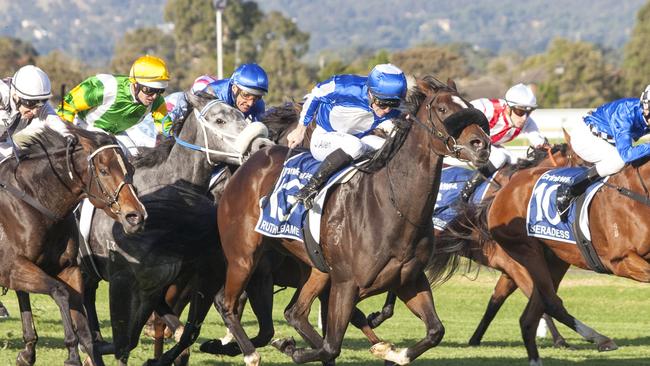 Ruthless Dame winning the Robert Sangster Stakes on Saturday at Morphettville Picture: Terry Hann/Atkins Photography