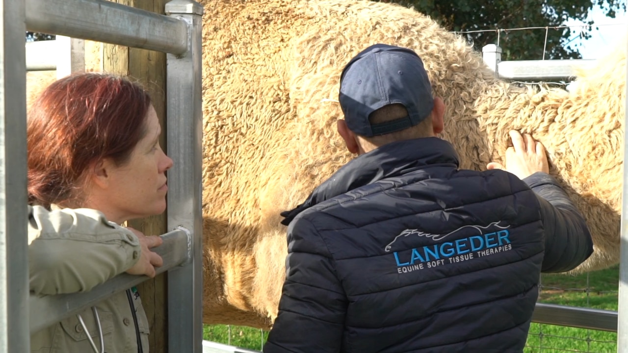 Savannah keeper Lauren Iriving with Saffron’s therapist, equine soft tissue specialist Christian Langeder. Picture: supplied