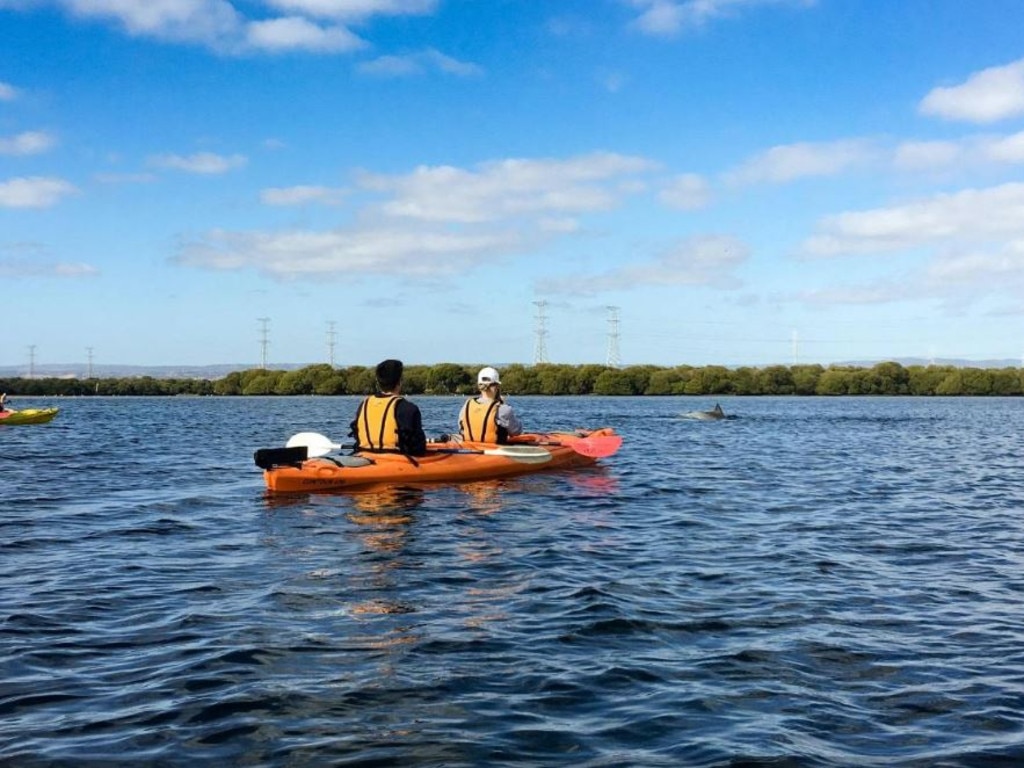 Kayaking through the dolphin sanctuary is an experience you’ll never forget. Picture: Booking.com