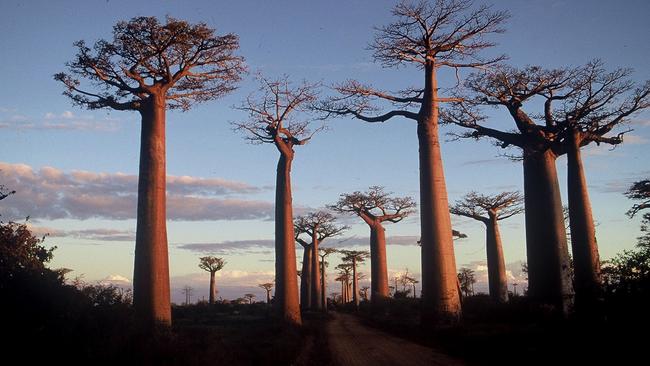 The island of Madagascar is among Emirates’ newest destinations.