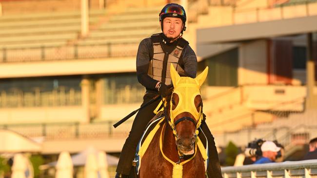 Kosi Kawakami riding Warp Speed of Japan during Caulfield Cup gallops on Tuesday morning. Picture: Getty Images