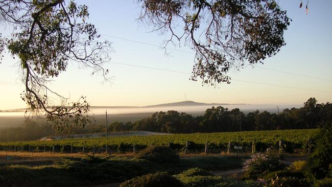 Galafrey Wines in the Great Southern, WA.