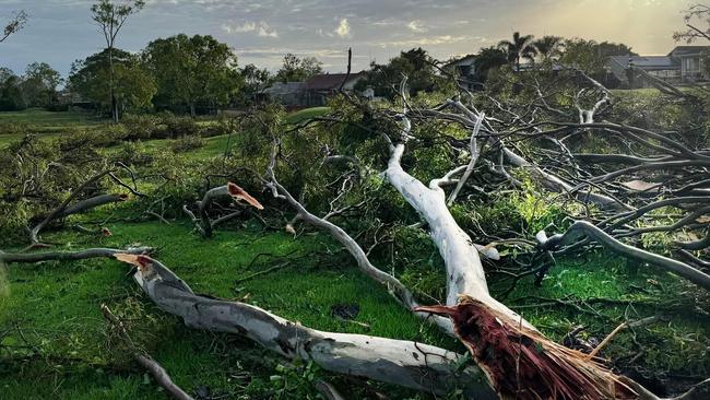 Warnings remain for falling trees and caution when driving and parking vehicles during storm activity. Picture: NCA NewsWire / Scott Powick