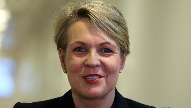 Deputy Opposition Leader Tanya Plibersek. Picture: Kym Smith.