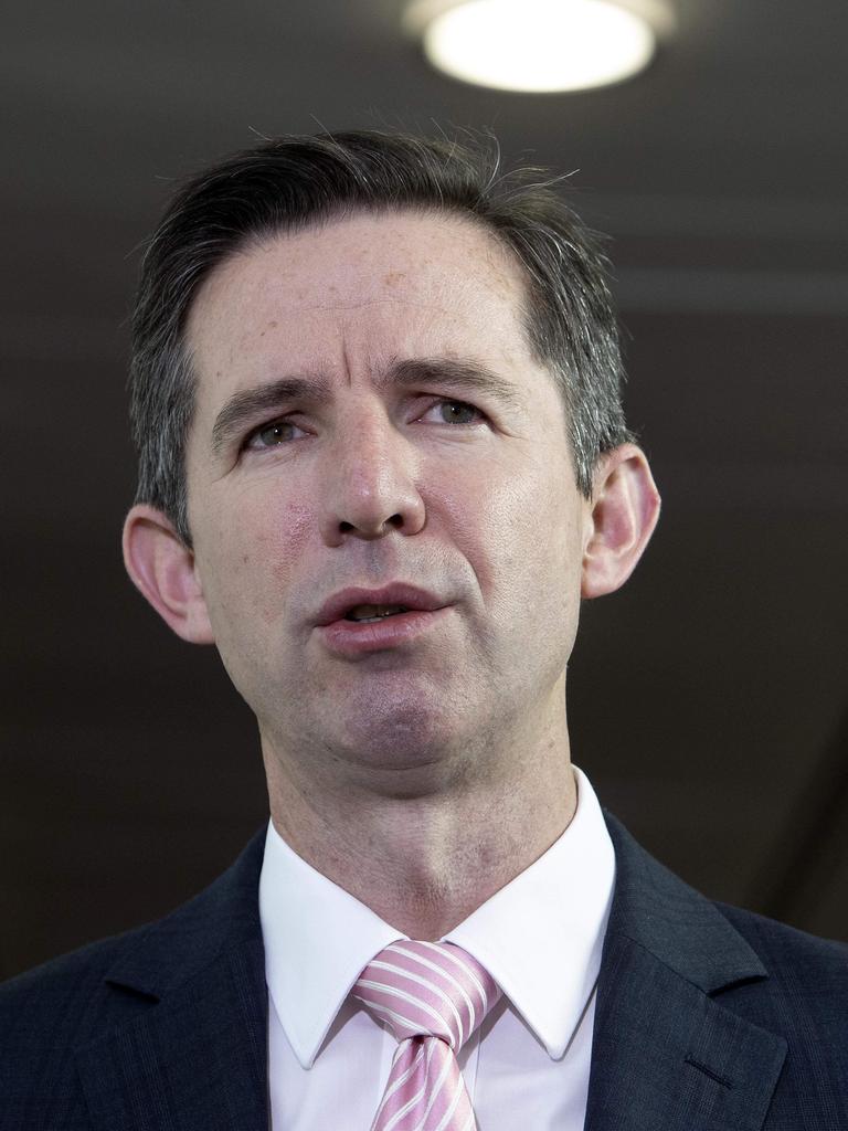 Trade Minister Simon Birmingham said the tariffs placed on Australian exports are inconsistent with the “spirit” of ChAFTA and the WTO’s rules. Picture: NCA NewsWire/Gary Ramage