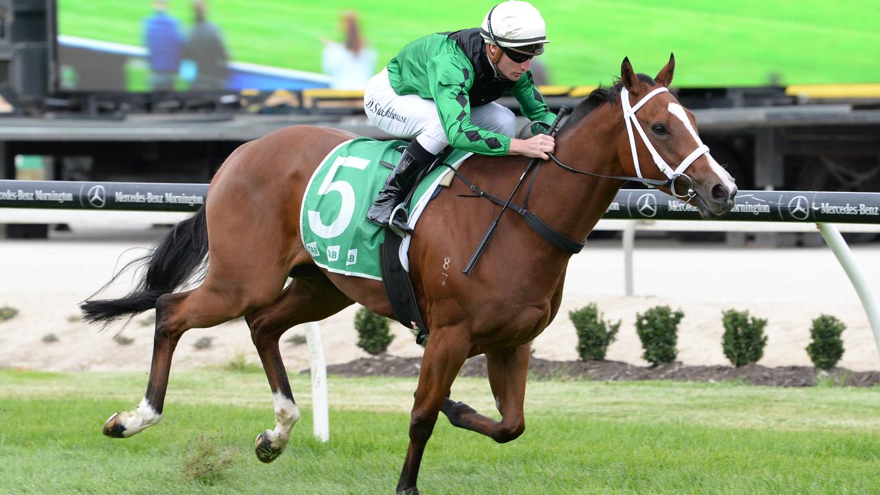 Smart mare Okay To Pay is a short-priced favourite to resume with a win for trainer Phillip Stokes at Wangaratta. Picture: Racing Photos via Getty Images