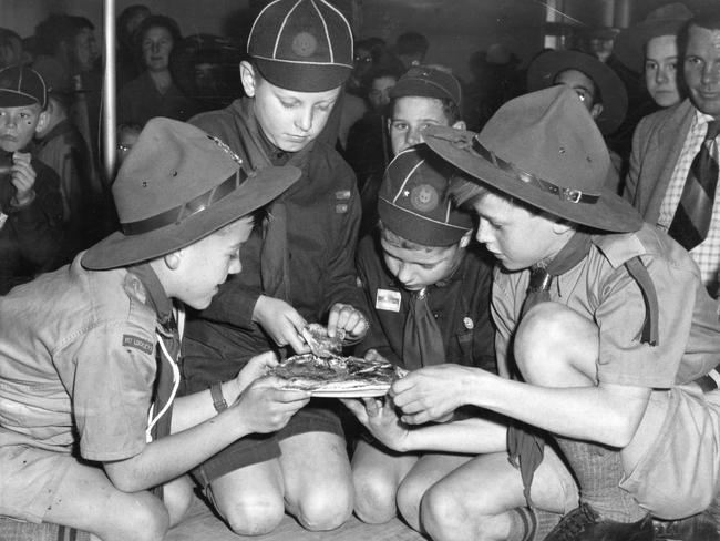 Lockleys scouts and cubs at their new hall at Airport Road, Brooklyn Park, 1960. Using their clasp knives to deal with an apple pie are David Horner, 12, Douglas Way, 8, Anthony Williams, 9, and Barry Long, 11.