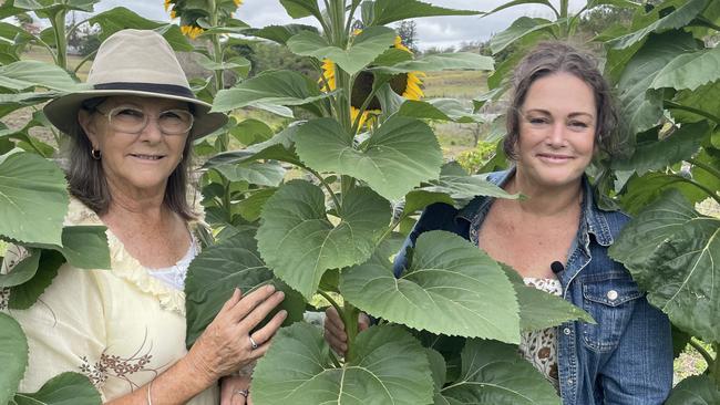 Belinda Jones has opened up her floristry garden in Gympie, offering a pick your own flowers experience. Picture: Christine Schindler