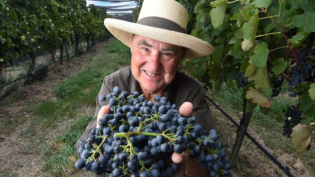 Julien Castagna at his Beechworth Winery.Picture:Rob Leeson.