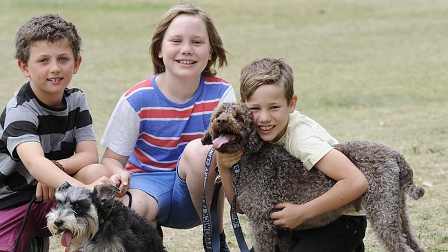 Three young entrepreneurs start dog walking business | Daily Telegraph