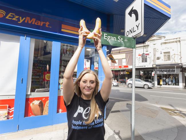 Emma Hurst from PETA at the corner of Egan St and King Street Newtown. Picture: Matthew Vasilescu