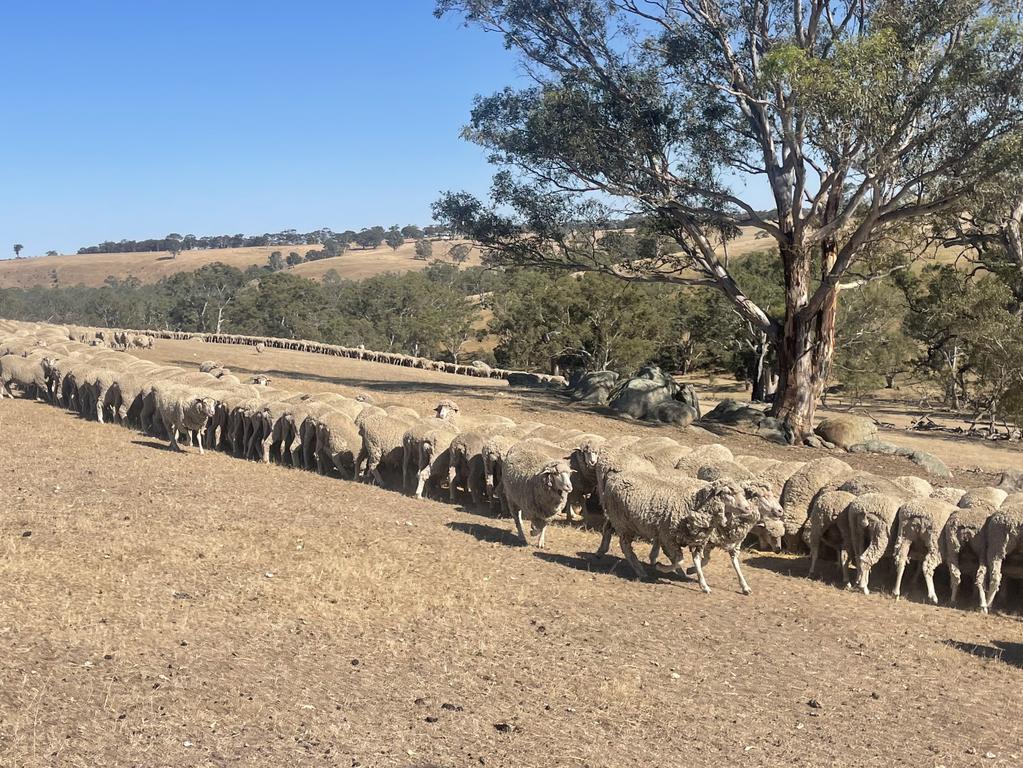 Drought affected residents say they have had scarce water sources for the last two and a half years. Picture: Supplied