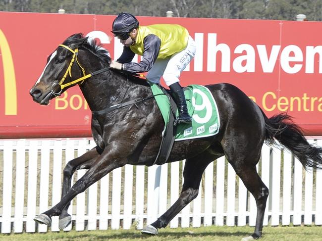 Race 1 - Nowra, 27/08/2023, Winner - Man Of Mine, Jockey - Quayde Krogh, Picture: Bradley Photos