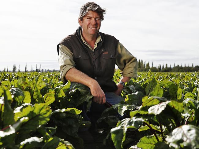 Cowra farmer. Ed Fagans in his beetroot paddock. Picture: Sam Ruttyn