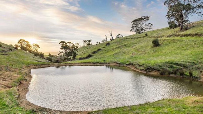 Multiple dams dot the paddocks.