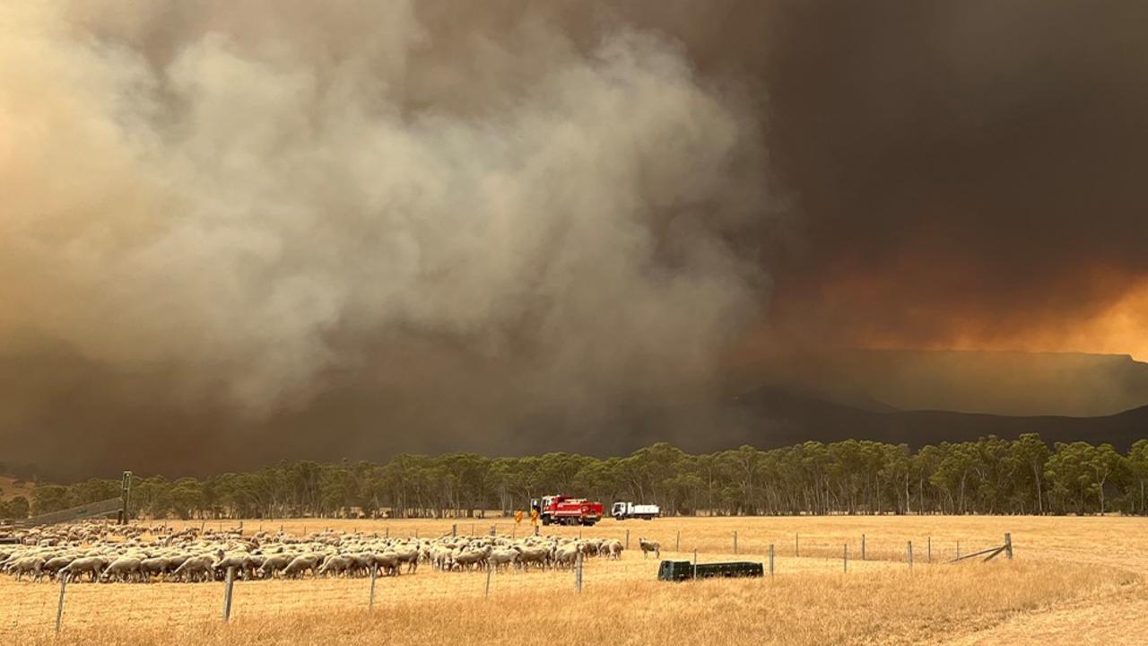 Fears grow over two large Grampians fires as searing heat, high winds loom