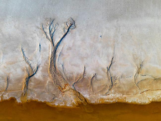 Lake Tyrrell in VictoriaÃs west.  An aerial view of water receding into Lake Tyrrell creates a tree-like shape in the salty banks.    Recent rain adds textures to the banks of the lake, as the lake gradually fills.   Picture: Alex Coppel