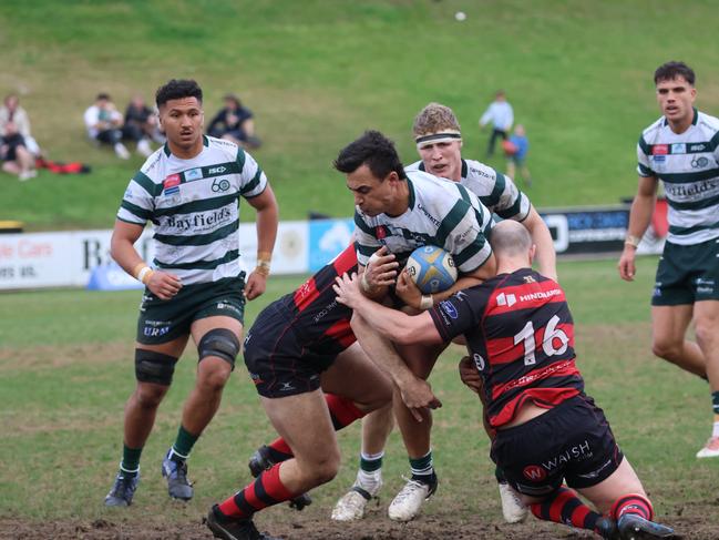 Warringah fell short in the finals to Norths in the 2024 Shute Shield playoffs. Photo by Deb Benefield.