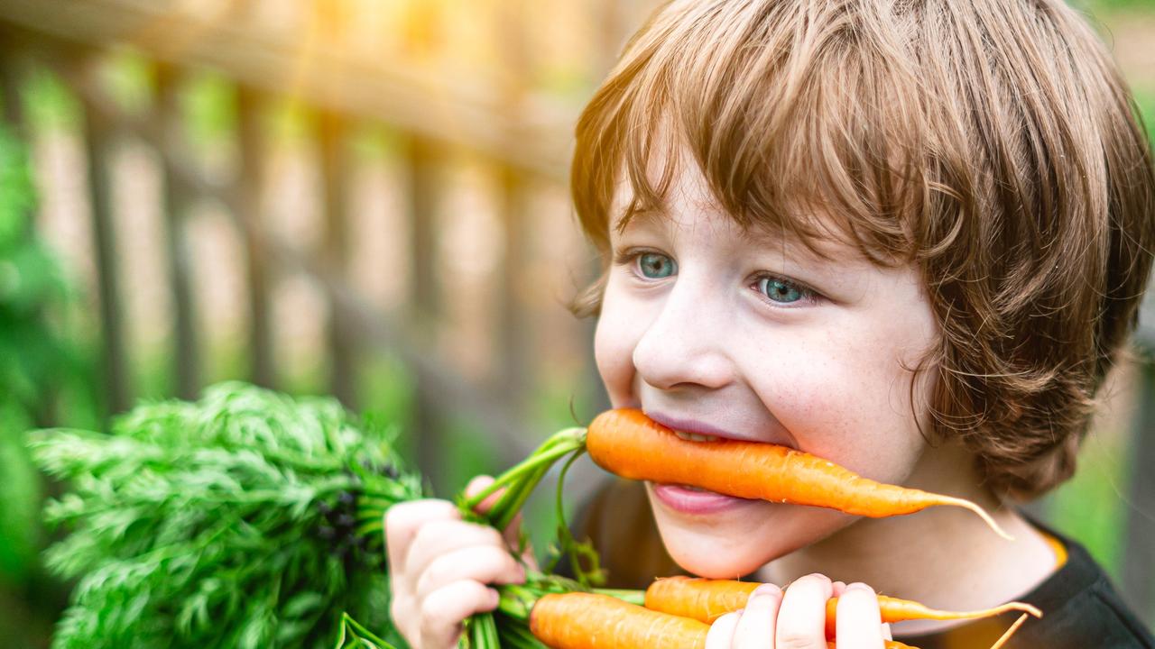 Better knowledge of where food comes from can help kids make healthier options. Picture: iStock