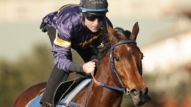 The Hawkes Racing-trained Master Of Wine could spring a surprise in Saturday’s $5m Caulfield Cup. Picture: Getty Images.