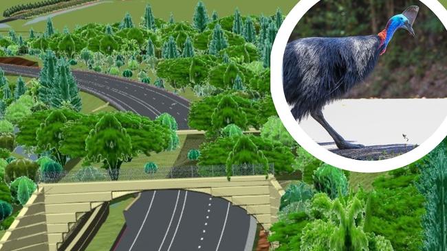 An artist’s impression of the Smiths Gap cassowary crossing.