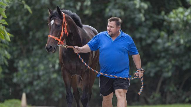 Cairns trainer Stephen Massingham with his charge Brilliant Mind. Picture: Brian Cassey