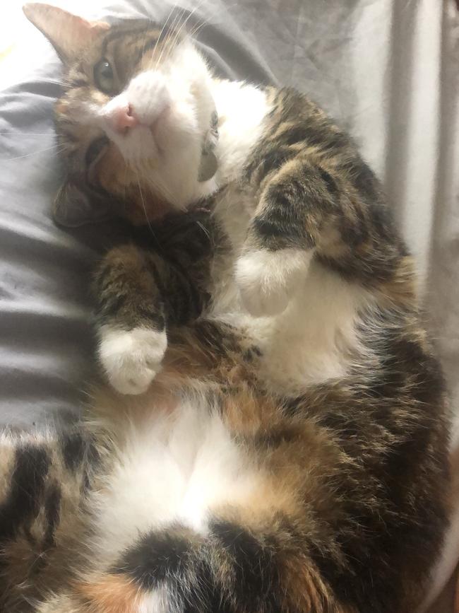 This is Cat’s world and we are all blessed that she allows us to live in it. Picture: Shauna