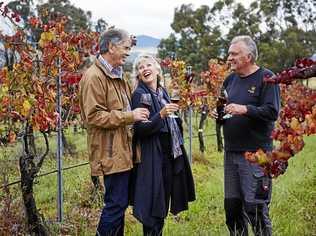 SUCCESSFUL VENTURE: Ridgemill Estate has won several awards for its wines. Picture: Contributed